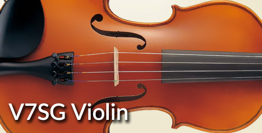 V7SG Violin - Click here...